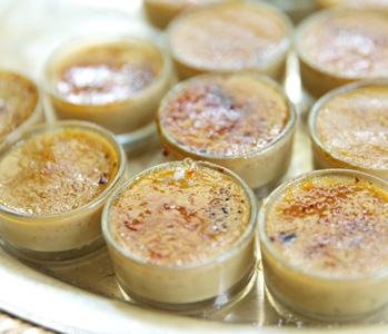 Creme Brulee